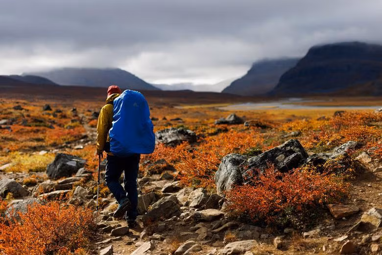 Mùa thu ở Lapland, gần Abisko, Thụy Điển, ngày 12/9. (Ảnh: REUTERS)