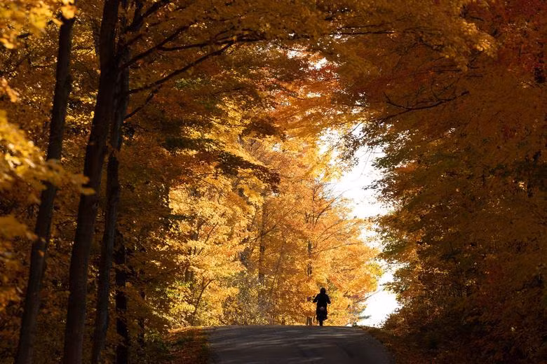 Một người lái xe mô-tô dưới tán lá vàng rực rỡ trong rừng Mahon, vùng Halton, gần Campbellville, Ontario, Canada, ngày 22/10. (Ảnh: REUTERS)
