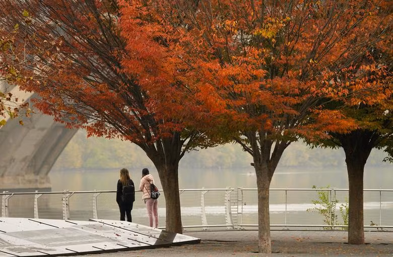Sắc thu ở bờ sông Georgetown, Washington, Mỹ, ngày 25/10. (Ảnh: REUTERS)