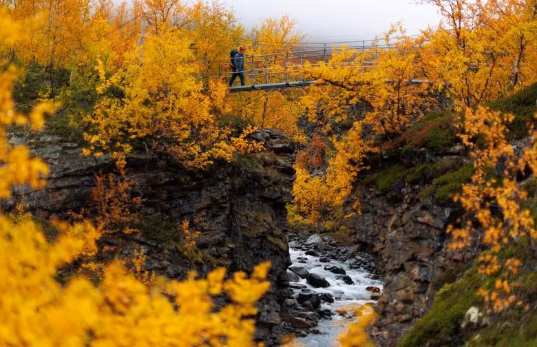 Mùa thu ở Lapland, gần Abisko, Thụy Điển, ngày 13/9. (Ảnh: REUTERS)