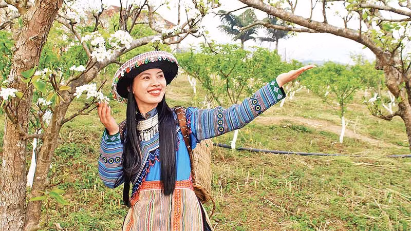 Du khách trong trang phục thổ cẩm truyền thống, rạng ngời bên sắc trắng hoa lê.