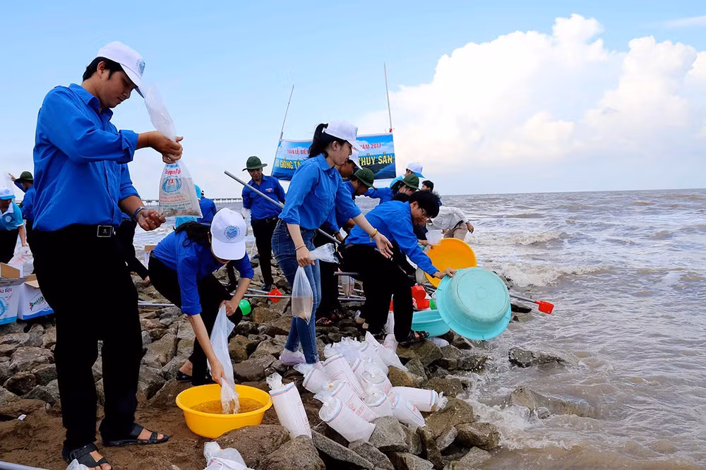 Thanh niên trên địa bàn tỉnh Cà Mau tích cực tham gia hoạt động tái tạo nguồn lợi thủy sản. Ảnh: Kim Há