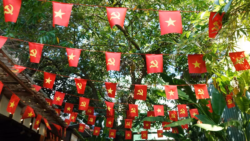 Rực rỡ một góc sân.