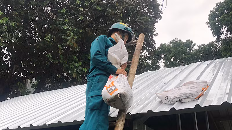 Chằng mái nhà. Chằng mái nhà.