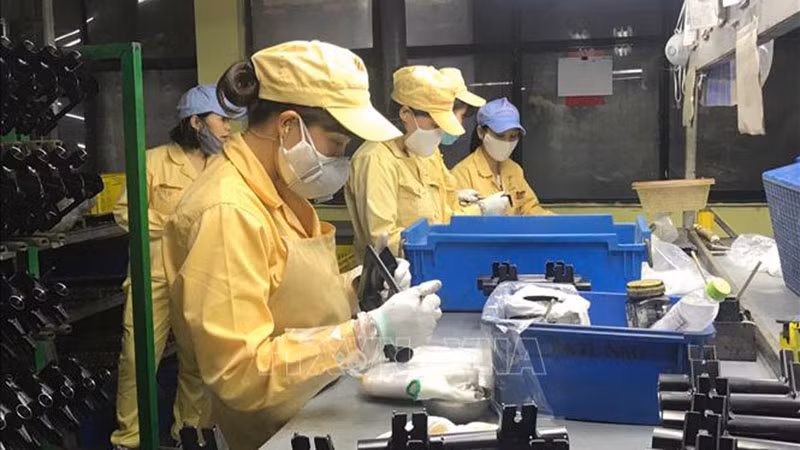 Lao động tại doanh nghiệp Hà Nội. (Ảnh: TTXVN)
