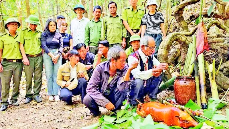 Nghi lễ cúng thần rừng của người Gia Rai tại làng O Grang, xã Ia Pếch, huyện Ia Grai.