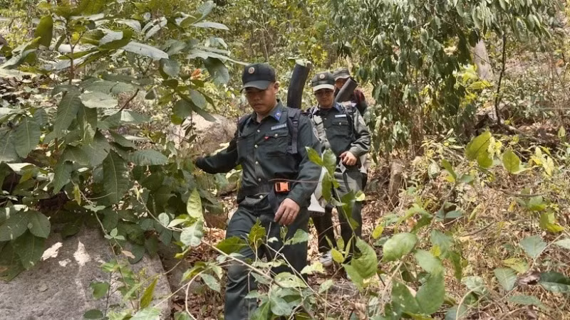 Lực lượng quản lý rừng vất vả di chuyển qua các bụi cây, dây leo để tuần tra, bảo vệ rừng tại khu vực núi Cấm, thị xã Tịnh Biên, tỉnh An Giang. (Ảnh: TTXVN) 