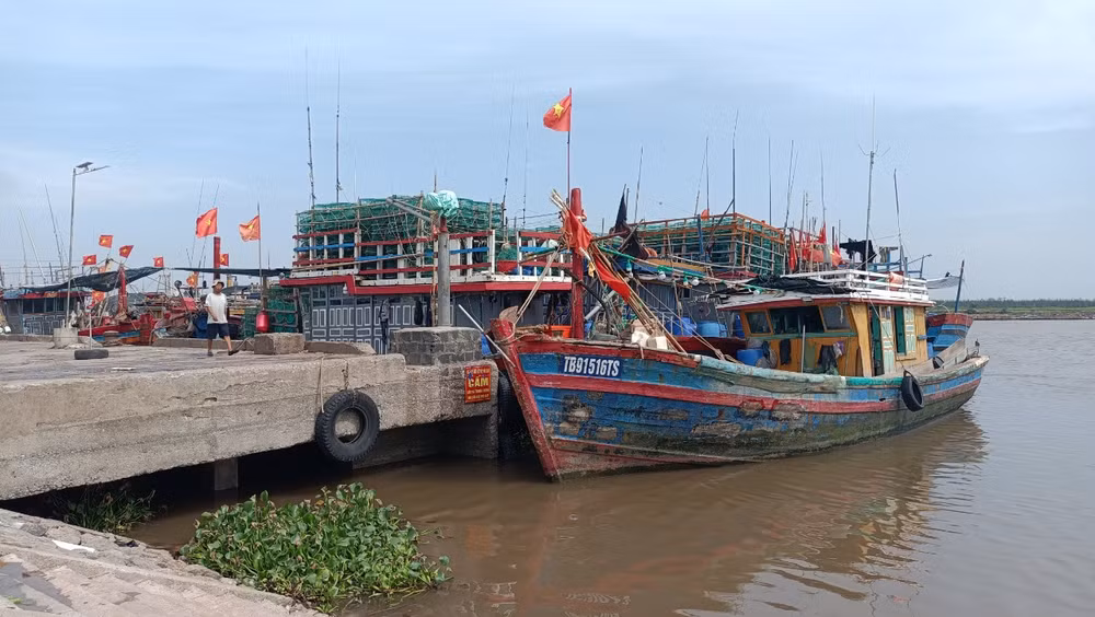Những tàu cá ở tỉnh Thái Bình không đủ giấy tờ, bằng cấp theo quy định bắt buộc quay về nơi xuất phát.