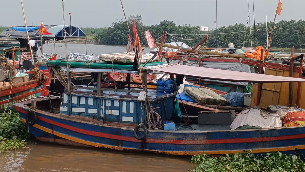 TỉnhThái Bình sẽ loại bỏ, xóa tên các tàu cá đã bán, chuyển nhượng ra ngoài tỉnh nhưng không làm thủ tục xóa đăng ký.