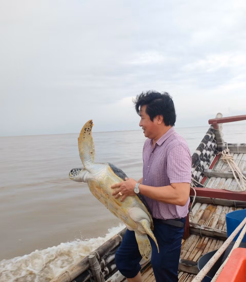 Thả vích biển về môi trường tự nhiên. Thả vích biển về môi trường tự nhiên.