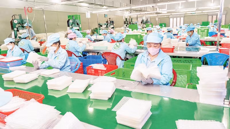 Lao động tại Công ty TNHH Tân Nhiên, Tây Ninh. (Ảnh: MINH ANH)