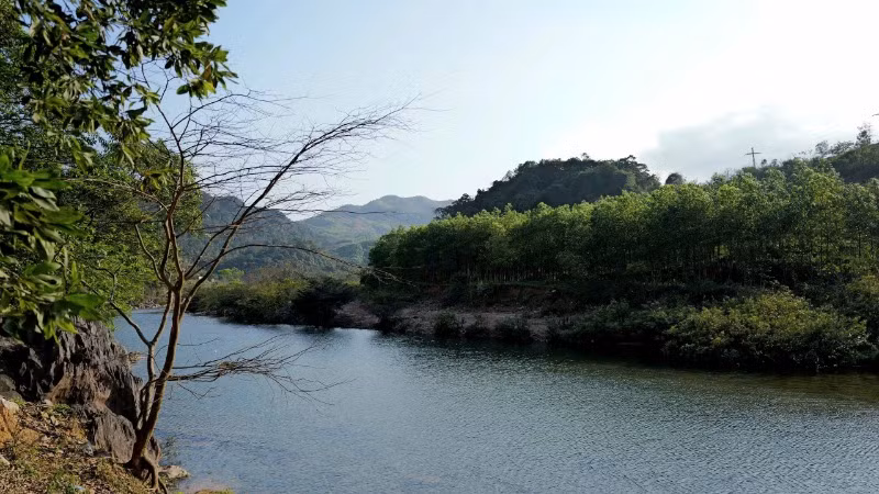 Dòng suối xanh trong, thơ mộng.