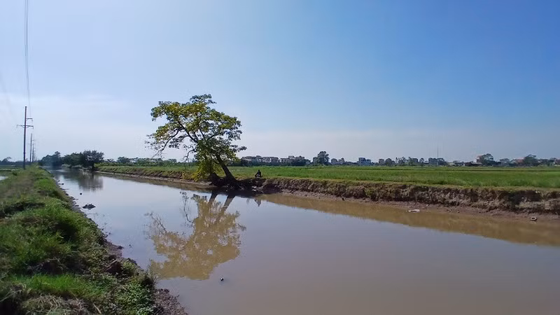 Phong cảnh làng quê bình yên.