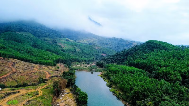 Núi rừng mang sức sống mùa xuân.
