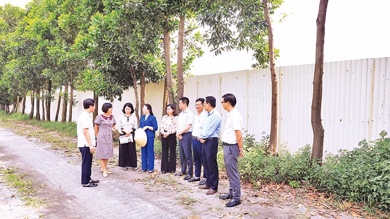 Ban Kinh tế-Ngân sách HĐND thành phố Hà Nội khảo sát một dự án chuyển đổi mục đích sử dụng đất lúa tại huyện Đông Anh. (Ảnh TUẤN VIỆT)