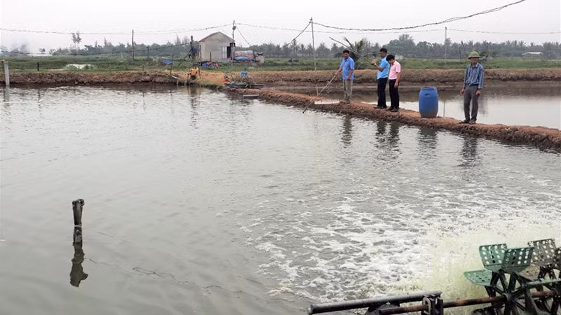 Nguồn vốn tín dụng chính sách xã hội đã hỗ trợ tích cực cho gia đình ông Trần Đình Quyến ở xóm Đồng Hà, xã Diễn Vạn, huyện Diễn Châu phát triển mô hình kinh tế nông nghiệp. Nguồn vốn tín dụng chính sách xã hội đã hỗ trợ tích cực cho gia đình ông Trần Đình Quyến ở xóm Đồng Hà, xã Diễn Vạn, huyện Diễn Châu phát triển mô hình kinh tế nông nghiệp.
