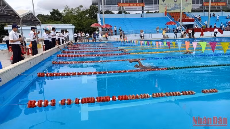 Các vận động viên cao tuổi nỗ lực bơi về đích.