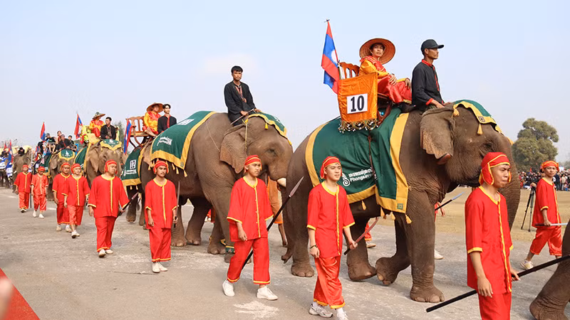 Những chú voi diễu hành qua khán đài. (Ảnh: Hải Tiến)
