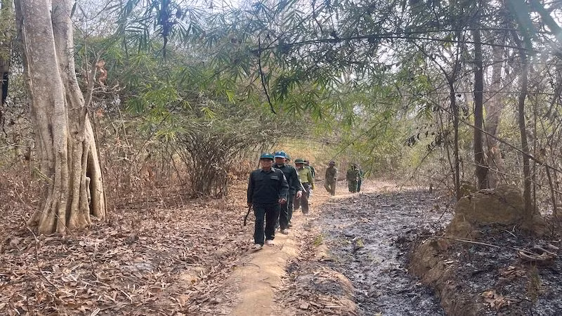 Các đơn vị kiểm tra rừng trong mùa khô.