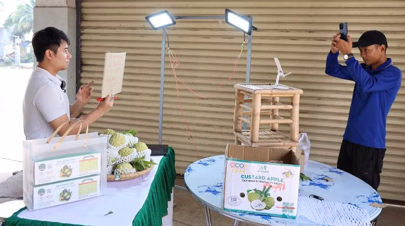 Anh Lê Minh Trung- Chủ tịch Hội đồng quản trị hợp tác xã dịch vụ nông nghiệp Minh Trung (bìa trái) livestream bán mãng cầu trên nền tảng số. (Ảnh: HOÀNG YẾN)