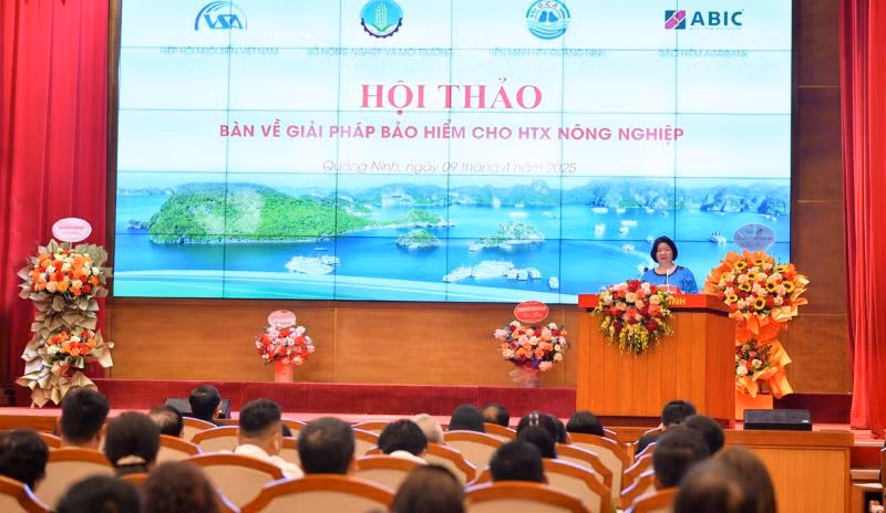 Chủ tịch Liên minh hợp tác xã Việt Nam Cao Xuân Thu Vân phát biểu tại Hội thảo bảo hiểm cho hợp tác xã nông nghiệp. (Ảnh: VCA)