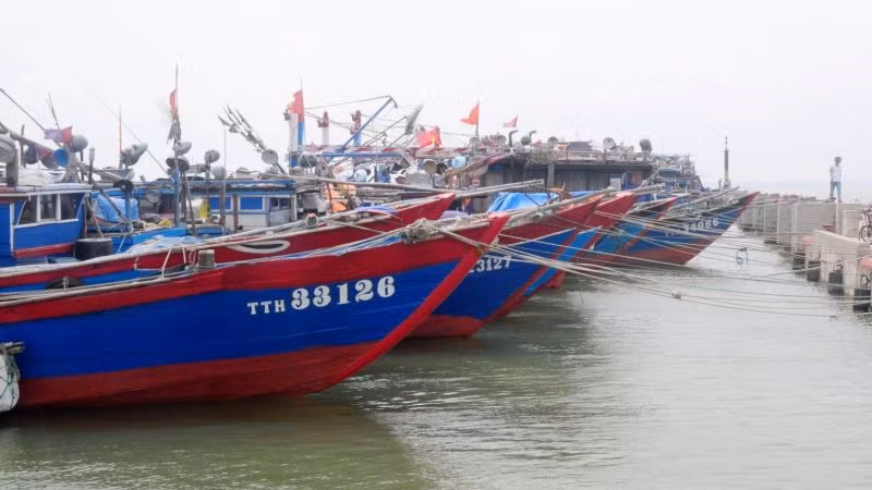 Bộ Chỉ huy Bộ đội Biên phòng tỉnh cho biết, đến cuối ngày 17/10, toàn bộ số phương tiện, tàu thuyền tại Thừa Thiên Huế đang neo đậu an toàn tại bến, cảng, âu thuyền với 2.062 phương tiện/11.350 lao động. Bộ Chỉ huy Bộ đội Biên phòng tỉnh cho biết, đến cuối ngày 17/10, toàn bộ số phương tiện, tàu thuyền tại Thừa Thiên Huế đang neo đậu an toàn tại bến, cảng, âu thuyền với 2.062 phương tiện/11.350 lao động.