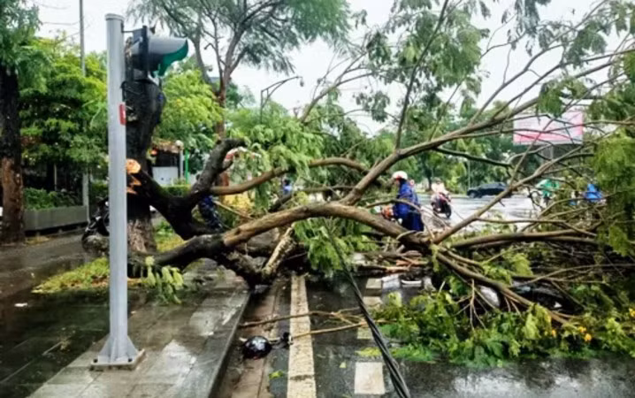 Giông lốc gây ngã đổ cây xanh trên địa bàn TP Huế trưa ngày 4/5.
