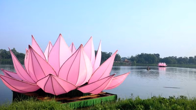 Từng hoa sen được lần lượt hạ thủy và cố định trên dòng Hương Giang.