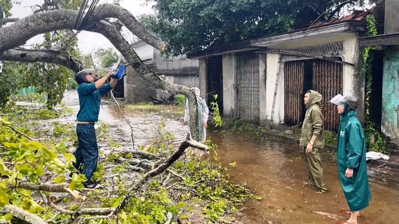 Ban chỉ huy Quân sự TP Huế cùng dân quân thu gom cây ngã đổ trên các tuyến phố.