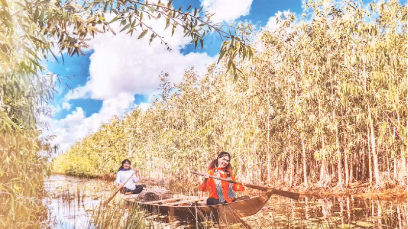 Tiềm năng to lớn về rừng tràm giúp U Minh phát triển mạnh về du lịch sinh thái, du lịch trải nghiệm, du lịch cộng đồng. (Ảnh Huỳnh Lâm)