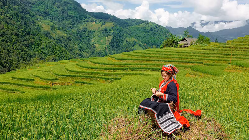 Vẻ đẹp của ruộng bậc thang Hoàng Su Phì. Vẻ đẹp của ruộng bậc thang Hoàng Su Phì.