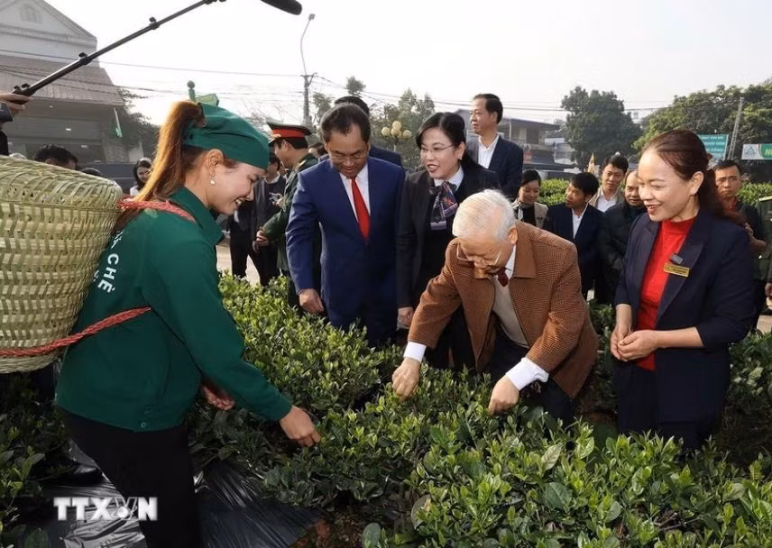 Tổng Bí thư Nguyễn Phú Trọng thăm vườn chè của Hợp tác xã Hảo Đạt, thành phố Thái Nguyên. Tổng Bí thư Nguyễn Phú Trọng thăm vườn chè của Hợp tác xã Hảo Đạt, thành phố Thái Nguyên.