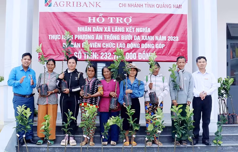 Agribank Chi nhánh Quảng Nam trao cây giống cho các hộ dân xã Lăng.
