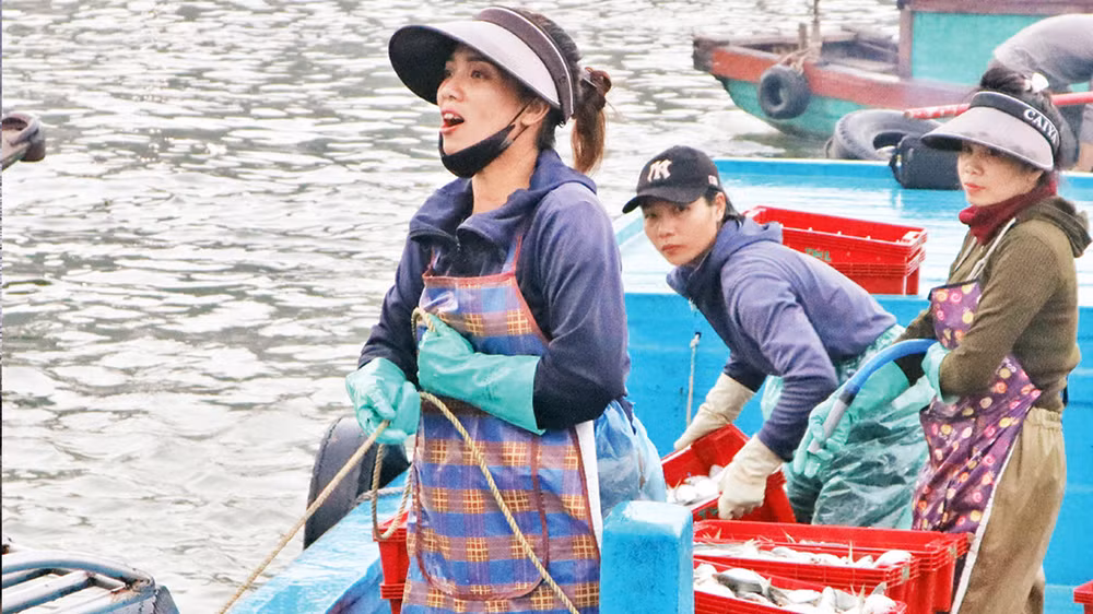 Chị em phụ nữ tích cực bốc dỡ hải sản lên bờ. Chị em phụ nữ tích cực bốc dỡ hải sản lên bờ.