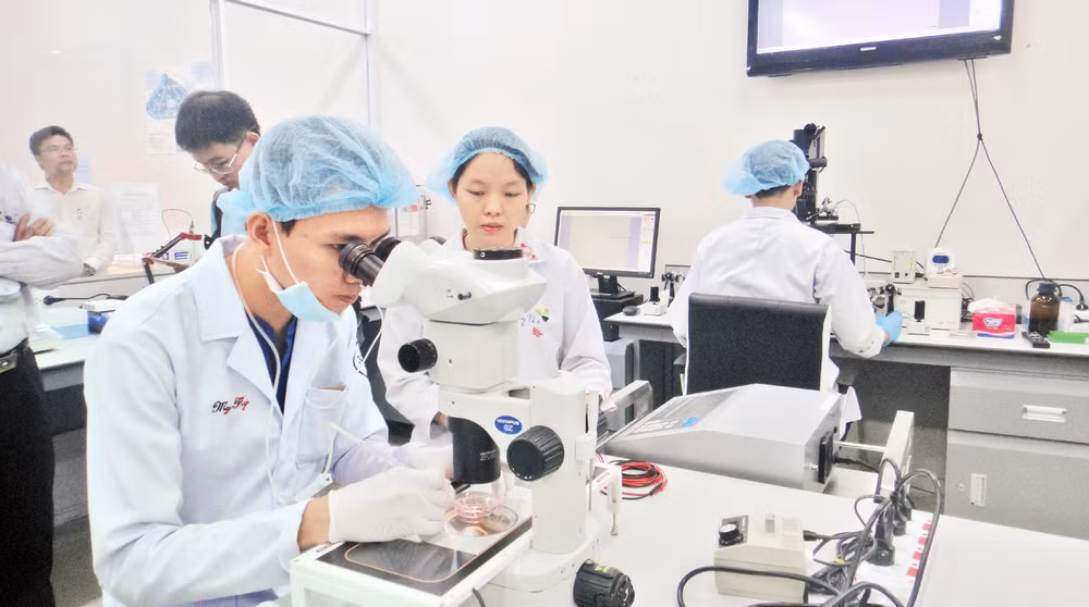 Hoạt động nghiên cứu khoa học tại Trường đại học Quốc tế, Đại học Quốc gia Thành phố Hồ Chí Minh. 