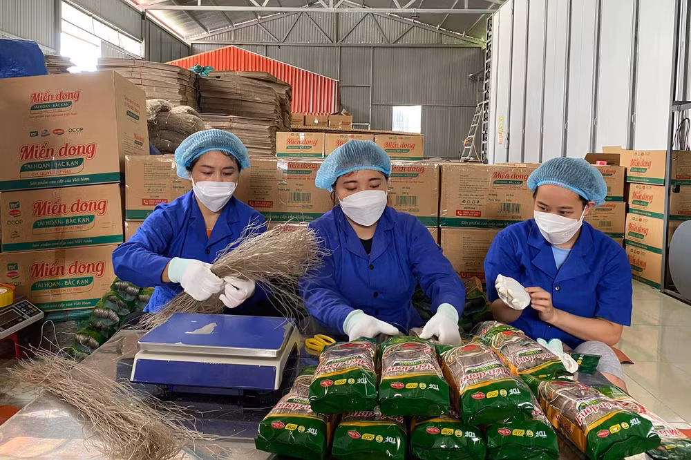 Hoạt động sản xuất tại Hợp tác xã miến dong Tài Hoan. (Ảnh: Thu Cúc)