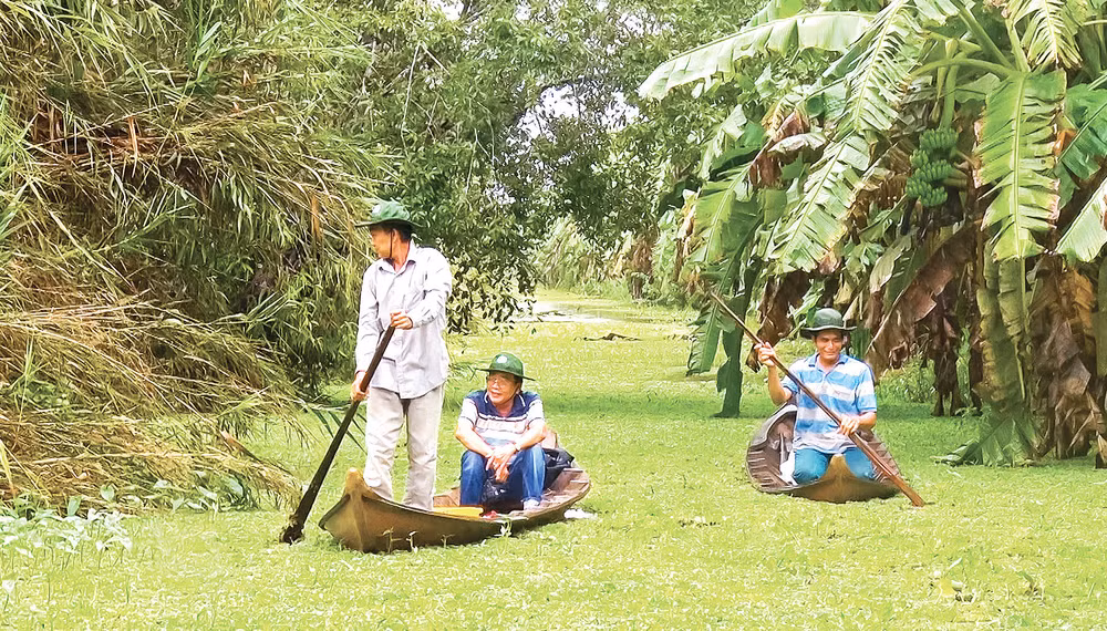 Sau những cơn mưa, người dân thường ra thăm rừng để tìm sản vật dưới tán rừng.