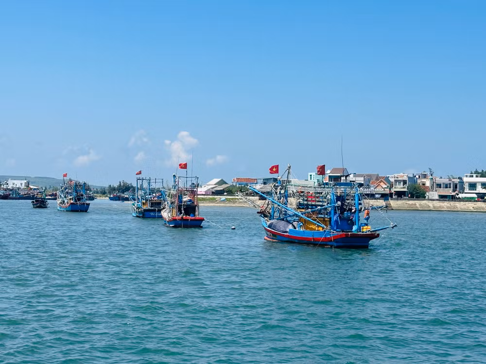 Tàu thuyền ngư dân vùng biển xã Bình Châu, huyện Bình Sơn, tỉnh Quảng Ngãi xuất hành đánh bắt khơi xa. 