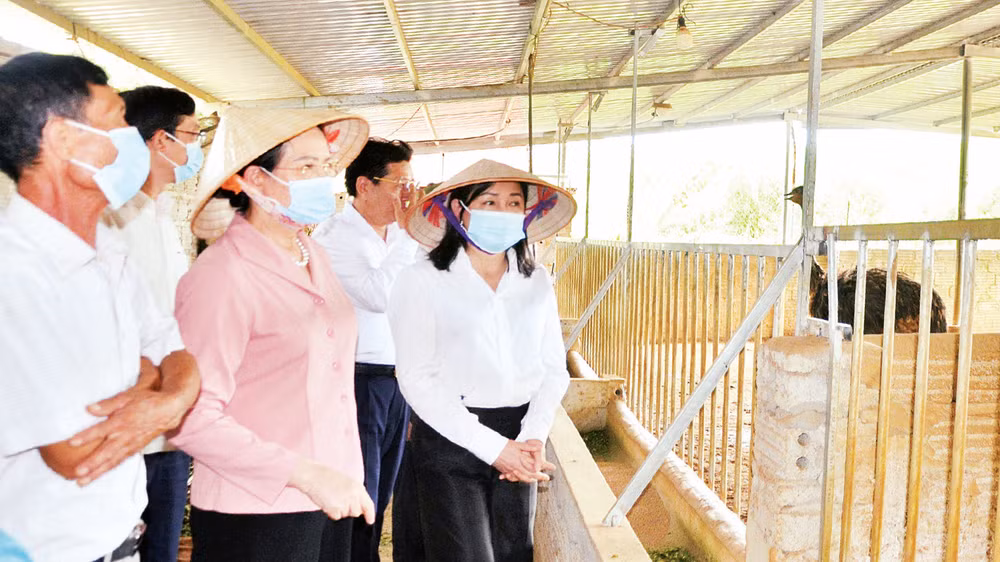 Các đại biểu HĐND tỉnh Hà Nam khảo sát mô hình phát triển kinh tế tại huyện Thanh Liêm. 