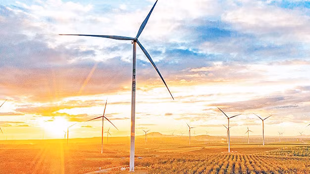 Cánh đồng điện gió không chỉ đem lại nguồn lợi về kinh tế mà còn góp phần phát triển du lịch của địa phương. (Ảnh Phạm Quý) 