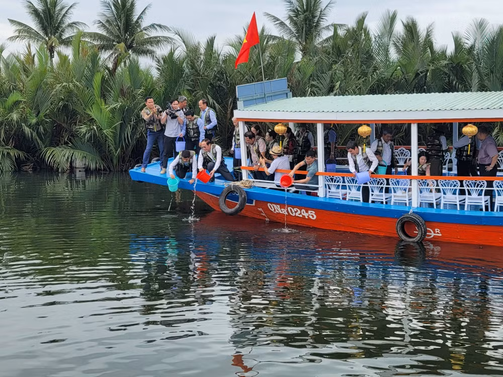 Các cơ quan chức năng và người dân tham gia thả cá để khôi phục nguồn lợi thủy sản khu vực ven biển. 