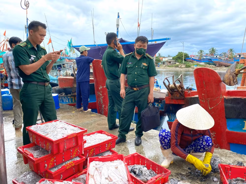 Lực lượng Bộ đội Biên phòng thường xuyên kiểm tra việc tuân thủ khai thác IUU. (Ảnh NGUYỄN TRUNG) 