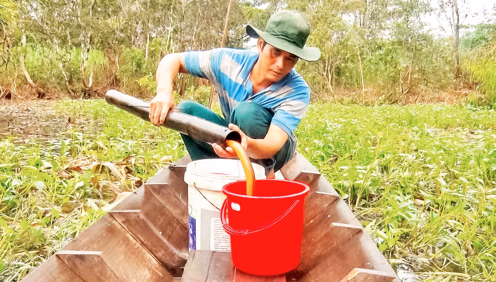Người dân khai thác sản vật mùa mưa.