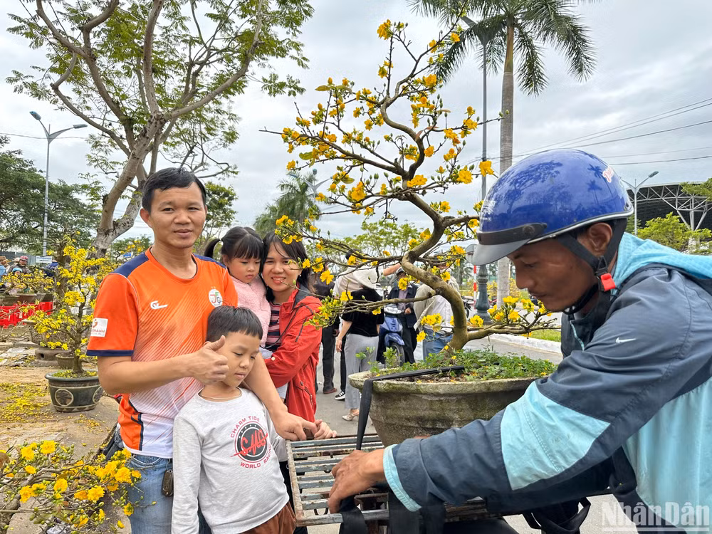 Trưa 30 Tết, nhà báo Hoàng Văn Quân (Chuyên đề Công an TP Hồ Chí Minh) và gia đình đi dạo chợ hoa và kịp chọn một cây mai về chưng Tết. (Ảnh: ANH ĐÀO) Trưa 30 Tết, nhà báo Hoàng Văn Quân (Chuyên đề Công an TP Hồ Chí Minh) và gia đình đi dạo chợ hoa và kịp chọn một cây mai về chưng Tết. (Ảnh: ANH ĐÀO)