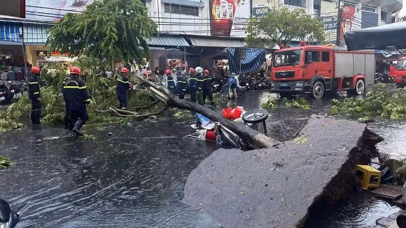 Hiện trường nơi cây bật gốc làm một người bị thương nặng. (Ảnh: AD)