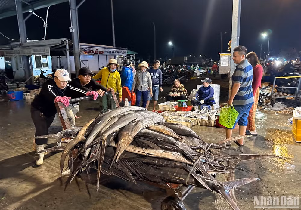 Chủ tàu cá vận chuyển cá từ tàu cá vào chợ (Ảnh ANH ĐÀO)
