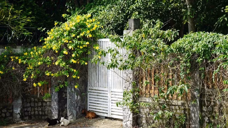 Đà Nẵng thu hồi 7.413m2 của thửa đất số 09 khu biệt thự Suối Đá - Sơn Trà. 