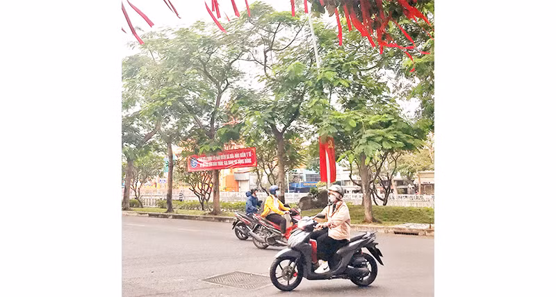 Một tuyến đường rợp bóng cây xanh ở quận Phú Nhuận.