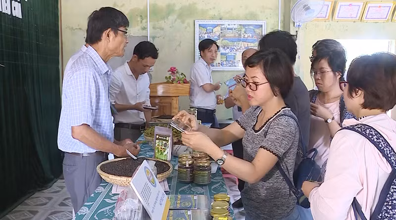 Tiêu Cùa và sản phẩm cao dược liệu ở huyện Cam Lộ (Quảng Trị) lên sàn thương mại điện tử. Tiêu Cùa và sản phẩm cao dược liệu ở huyện Cam Lộ (Quảng Trị) lên sàn thương mại điện tử.