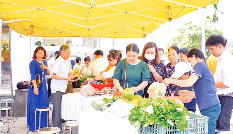 Nhiều nông sản Quảng Trị được người tiêu dùng biết đến nhờ sàn thương mại điện tử. 
